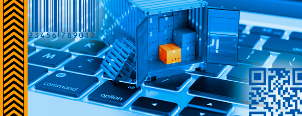 Expertos en el manejo de carga